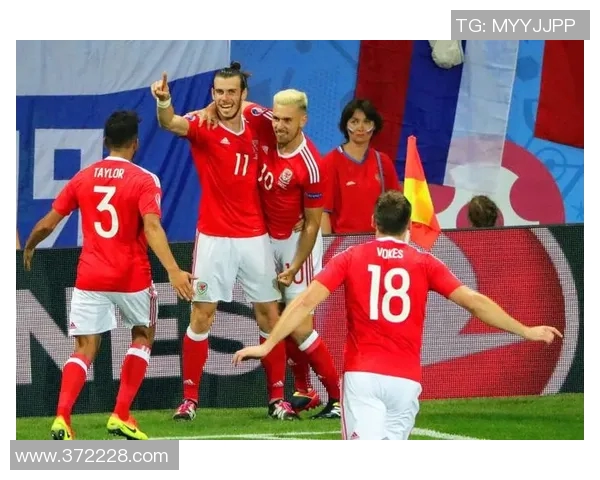 威尔士与爱尔兰精彩对决视频回顾分析及赛后亮点总结