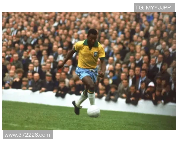 维尼修斯：从新星崛起到足球巨星的辉煌之路与未来展望