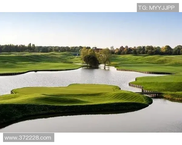 赖斯的影响力与全球政治格局的变迁探讨与分析