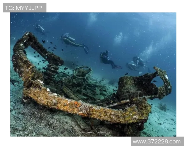 加莱诺的艺术魅力与文化影响力探讨:从历史到现代的深度解析 加莱诺的艺术魅力与文化影响力探讨:从历史到现代的深度解析