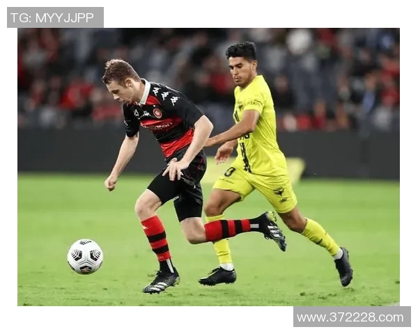 悉尼与惠灵顿凤凰对决前瞻及比分预测分析,谁将赢得胜利 悉尼与惠灵顿凤凰对决前瞻及比分预测分析,谁将赢得胜利