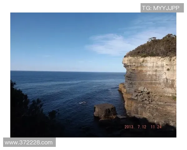 杭州极限运动队实力深度对比与发展潜力分析 杭州极限运动队实力深度对比与发展潜力分析