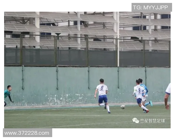 深入分析杭州网球队的盯防战术及其在比赛中的应用效果